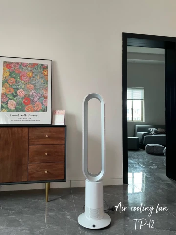 Pərsiz Soyuducu Vintelyator